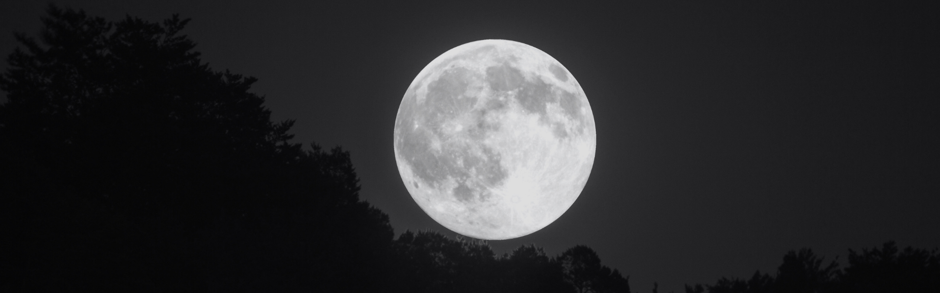 014 zwemmen in het maanlicht - Queerina.nl erotische verhalen voor lesbische en biseksuele vrouwen 18+