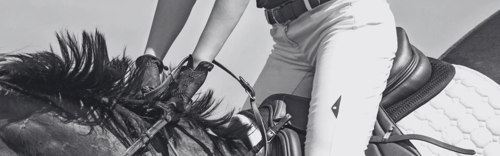 016 paardrijles - Queerina.nl erotische verhalen voor lesbische en biseksuele vrouwen 18+