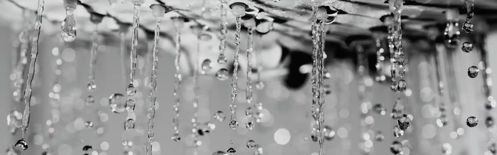 002 stralen van verlangen - Queerina.nl erotische verhalen voor lesbische en biseksuele vrouwen 18+