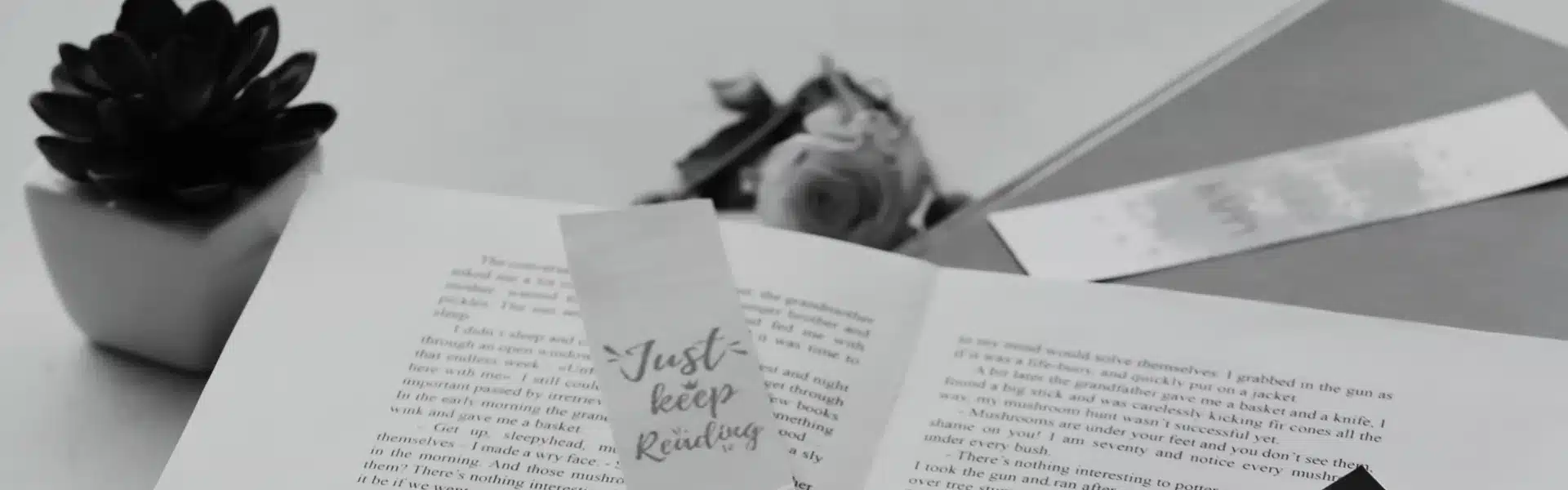 018 boekenlegger - Queerina.nl erotische verhalen voor lesbische en biseksuele vrouwen 18+